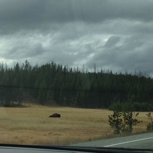 Meet your Posher, Ethan